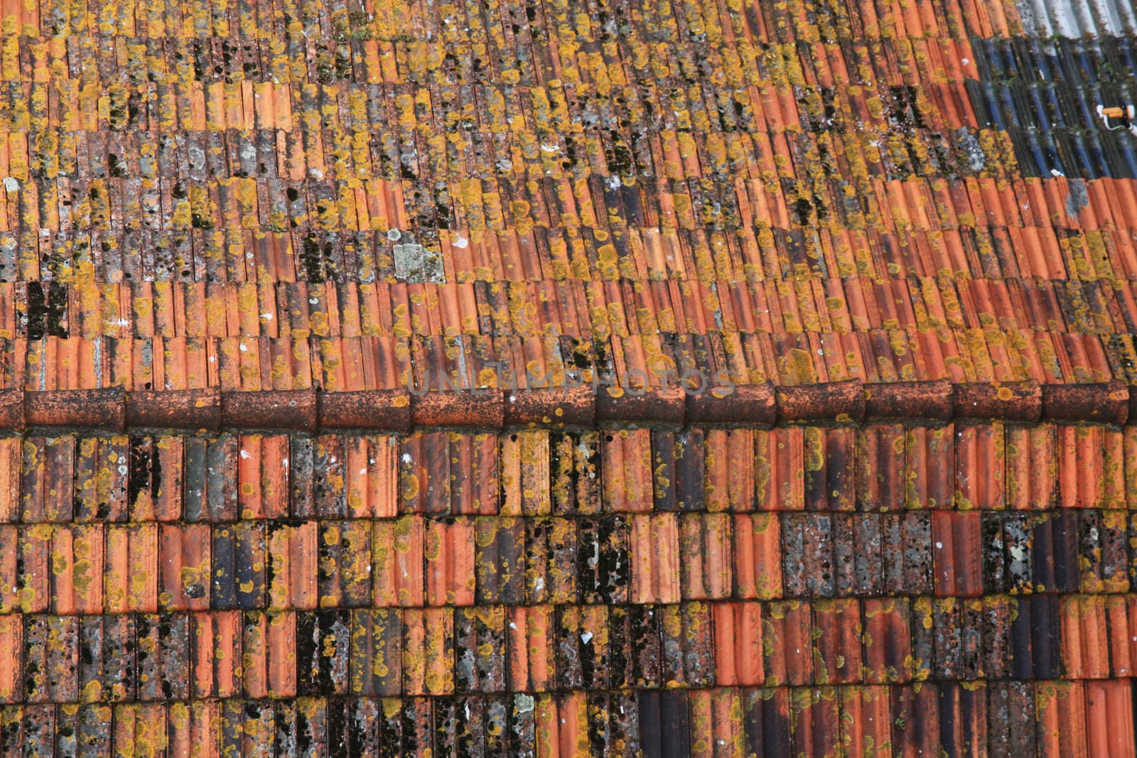 Close view of the detail of an old red rooftop.