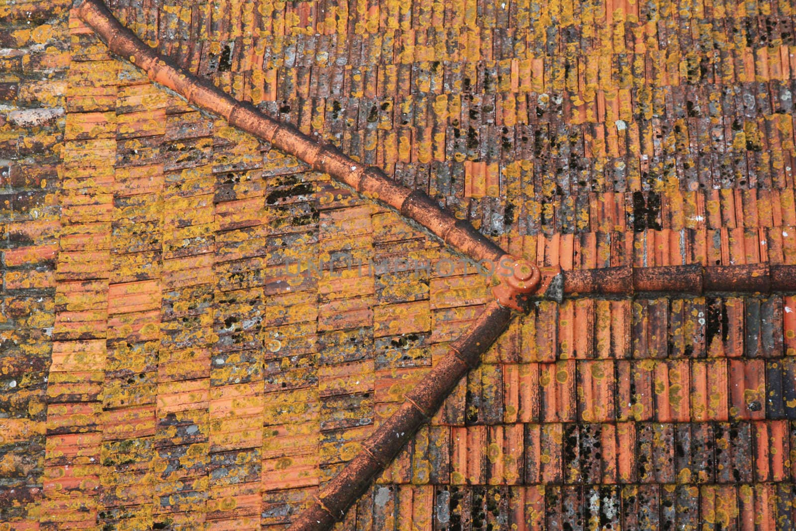 Close view of the detail of an old red rooftop.