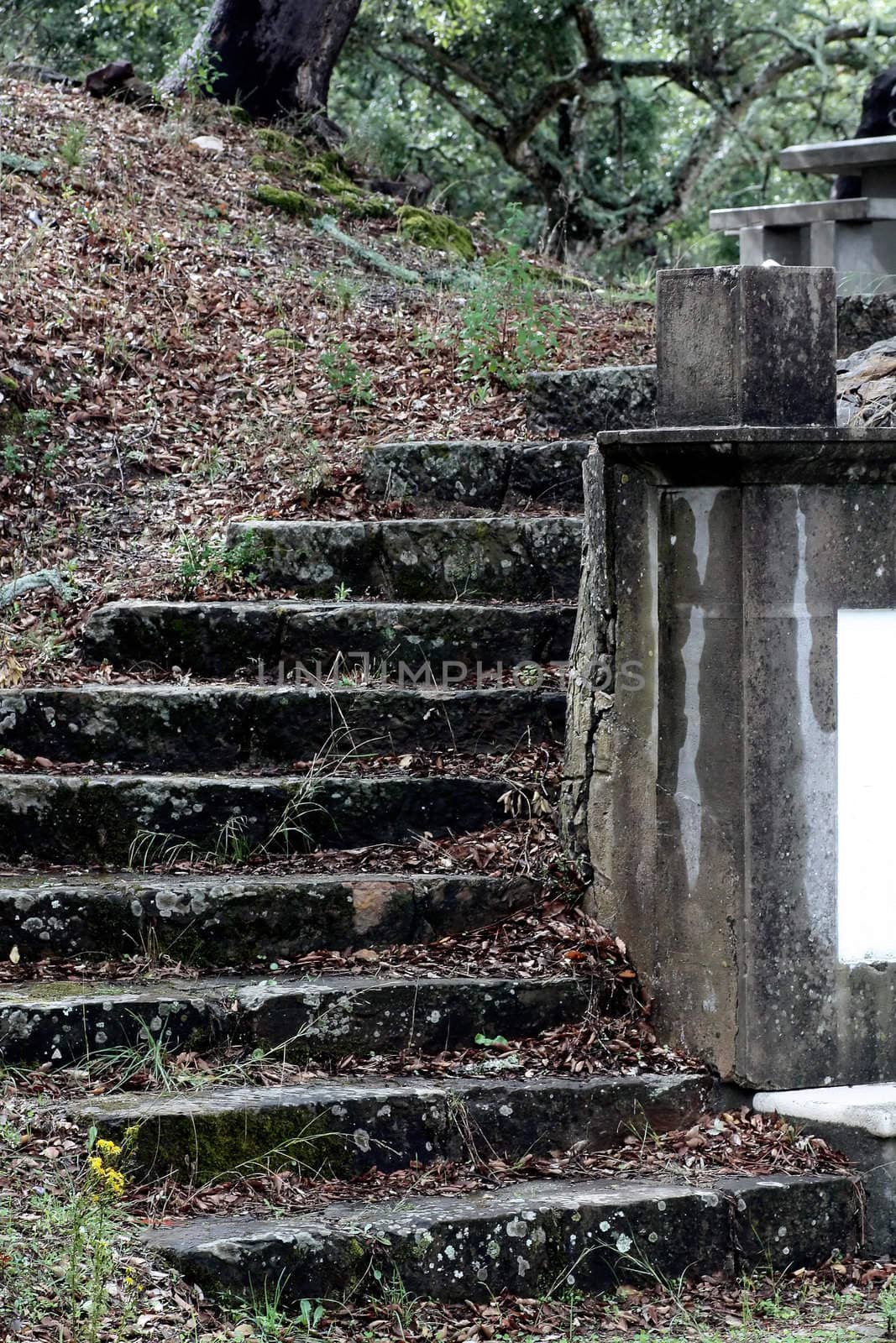 Old staircase on a park creating a blending between the natural and the civilized human world.