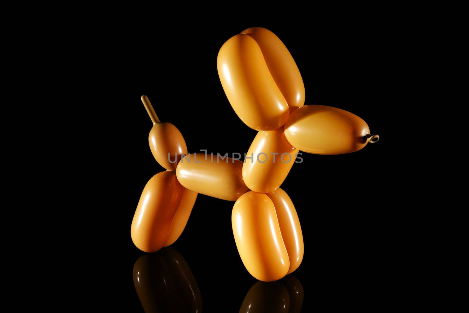 Balloon dog isolated on black with reflection