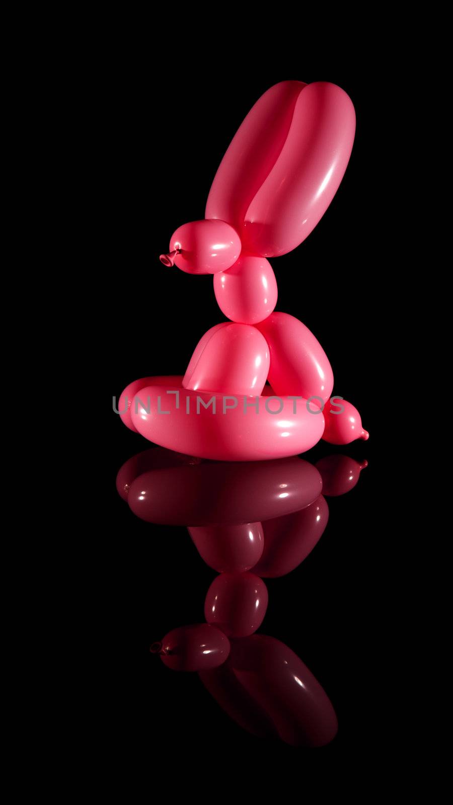 Balloon rabbit isolated on black with reflection