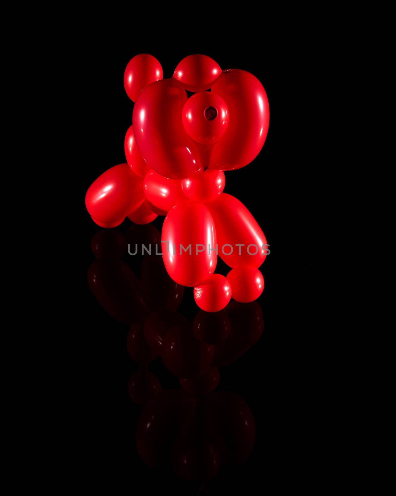 Balloon dog isolated on black with reflection