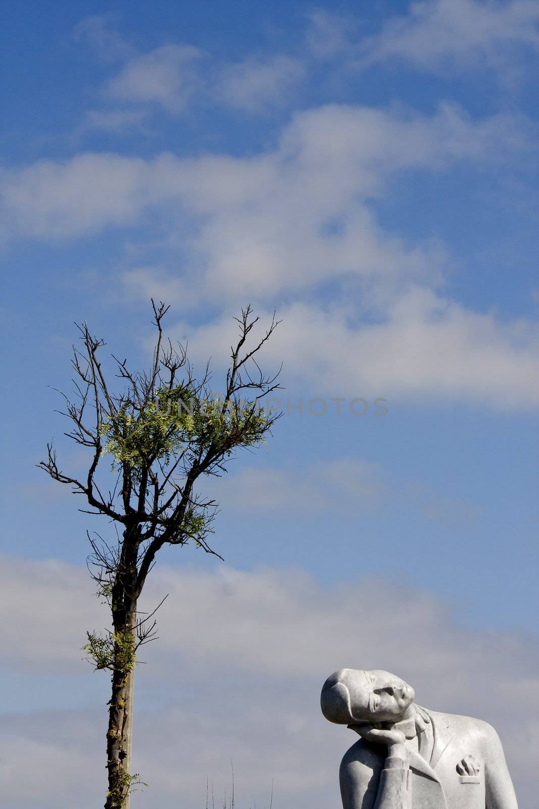 Minimal view of a sleepy statue of a portuguese poet with a lonely tree.