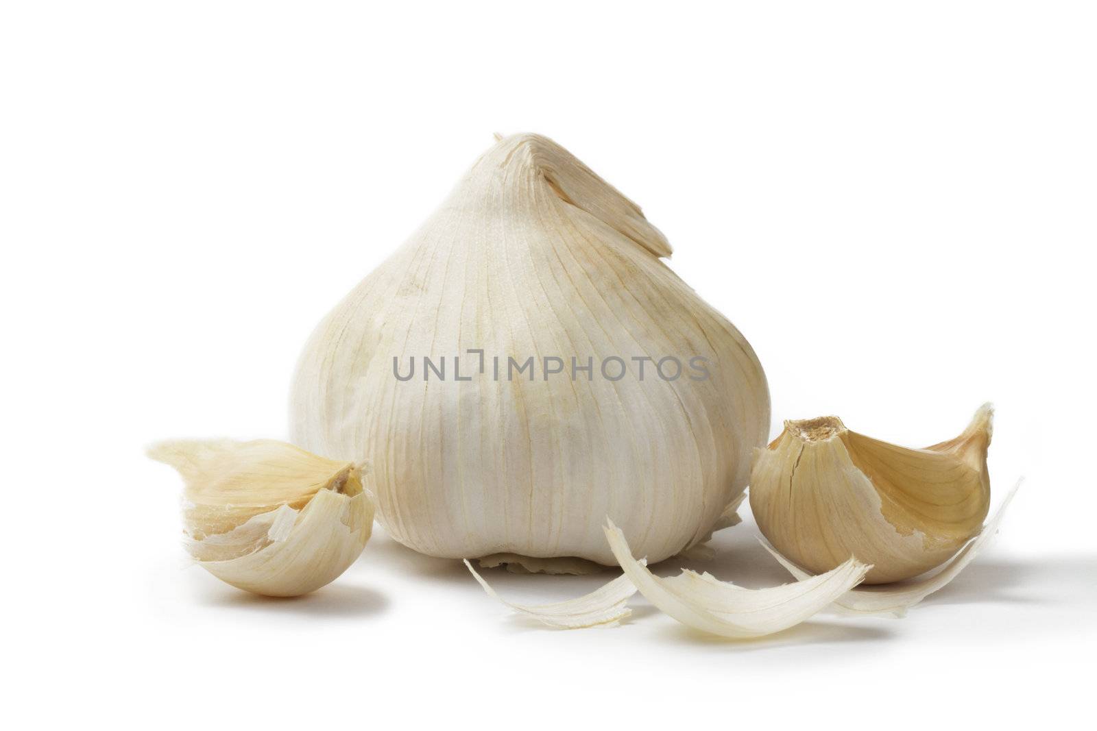 white garlic with garlic cloves on white background