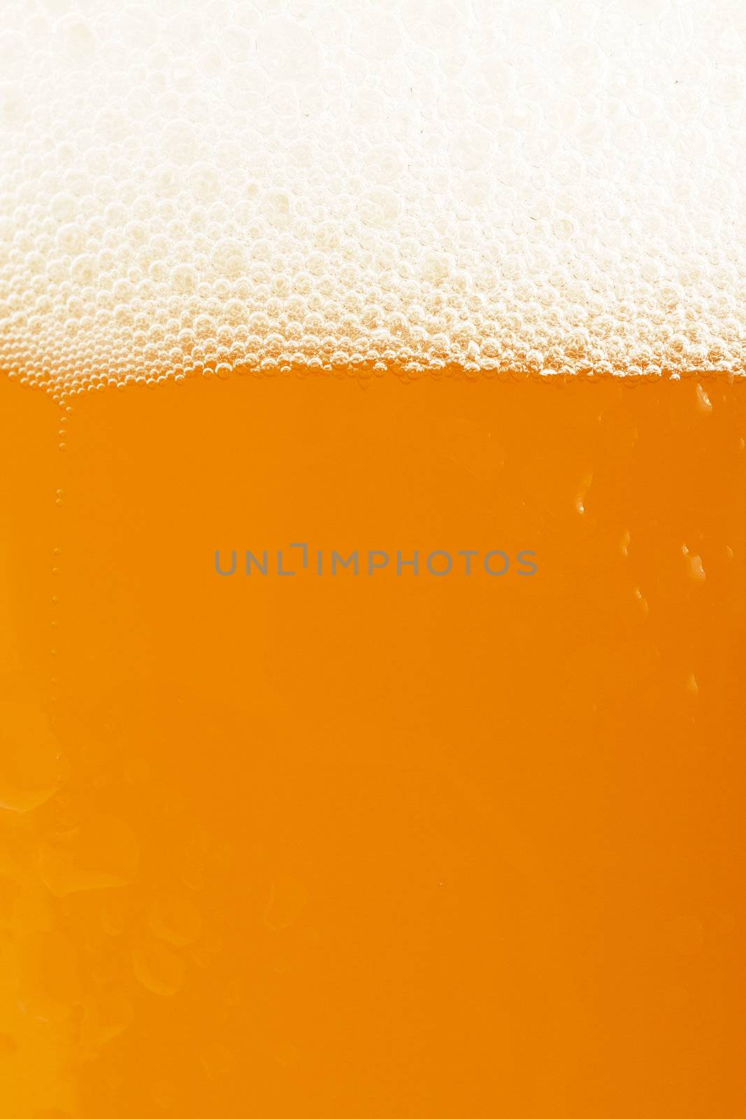 golden wheat beer closeup with white crest