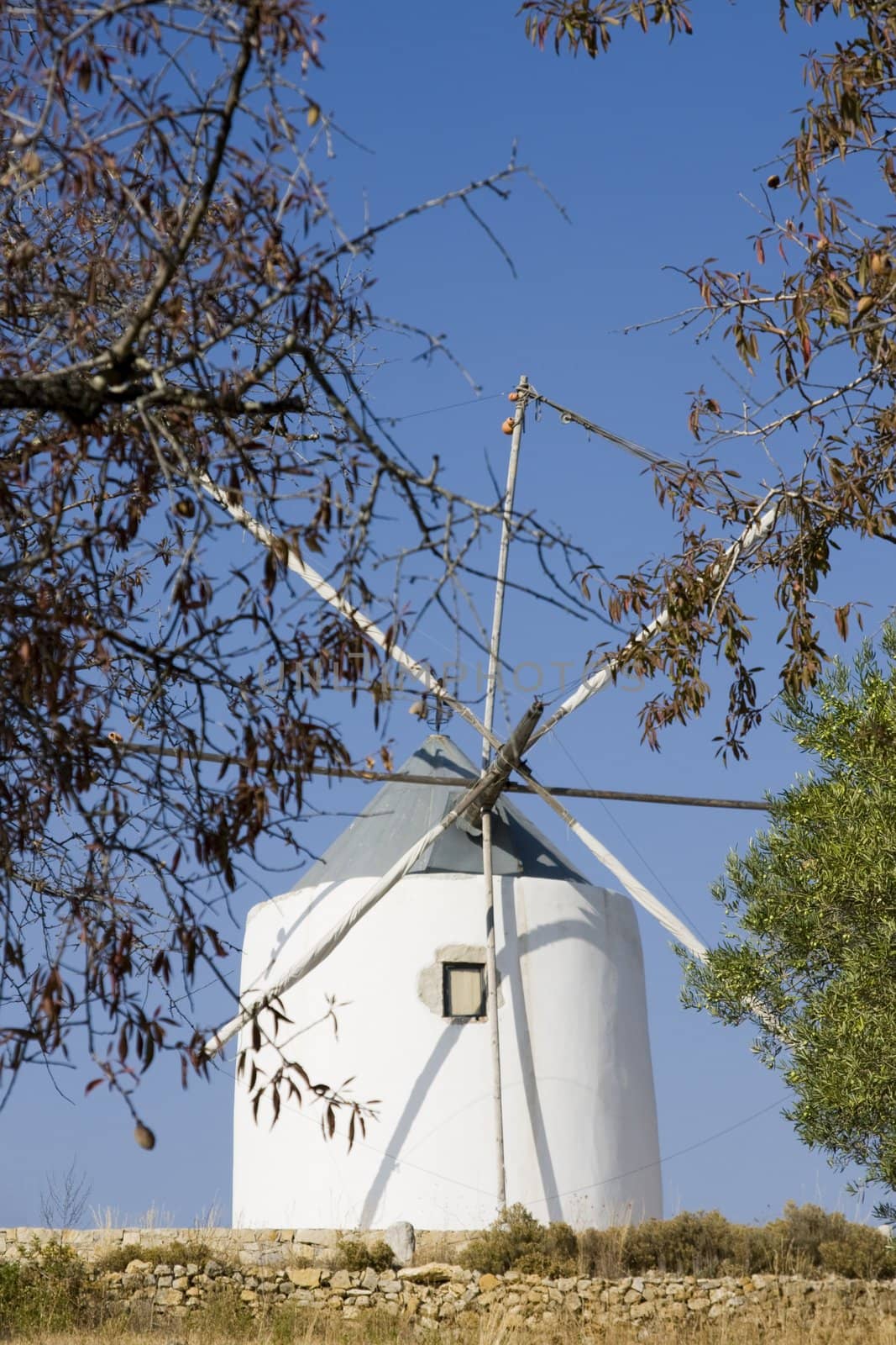 windmill on the hill by membio