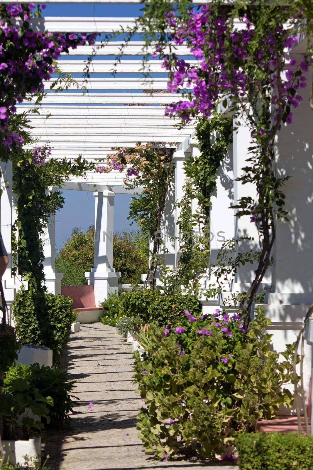 View of the beautiful Miradouro Ramiro Sobral garden located near Ourique, Portugal.