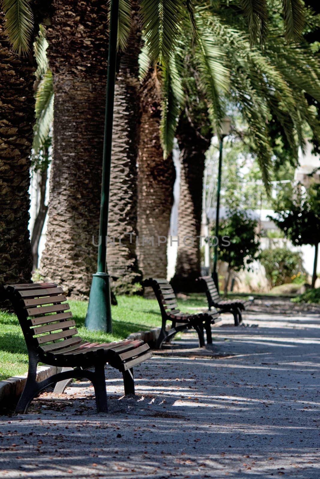 View of several empty wooden park benches in the city of Faro.