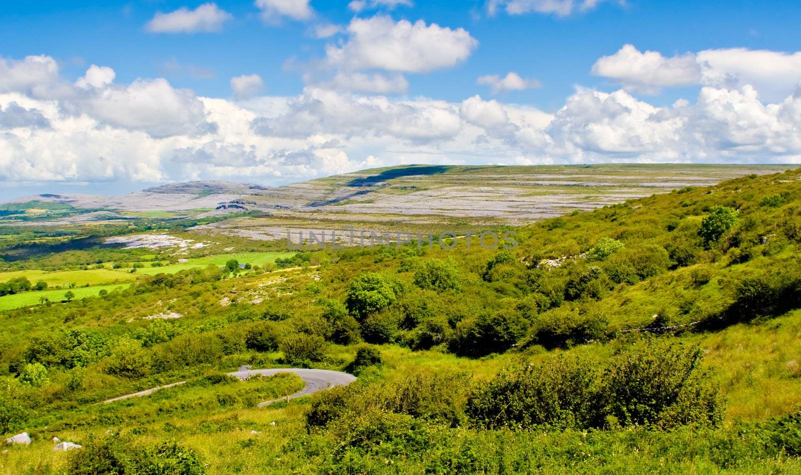Landscape of County Clare, Ireland. Green fields, trees, and a winding road in foreground and The Burren and sky in the background. 