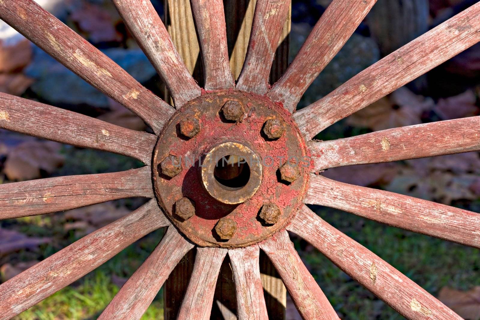 Wagon Wheel by sbonk