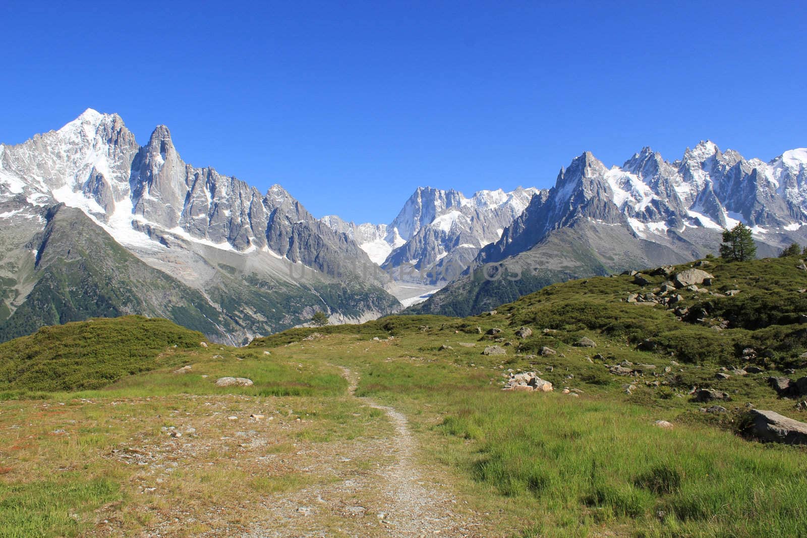 View of the Mont-Blanc massif from a small path in the mountain, France, by beautiful weather