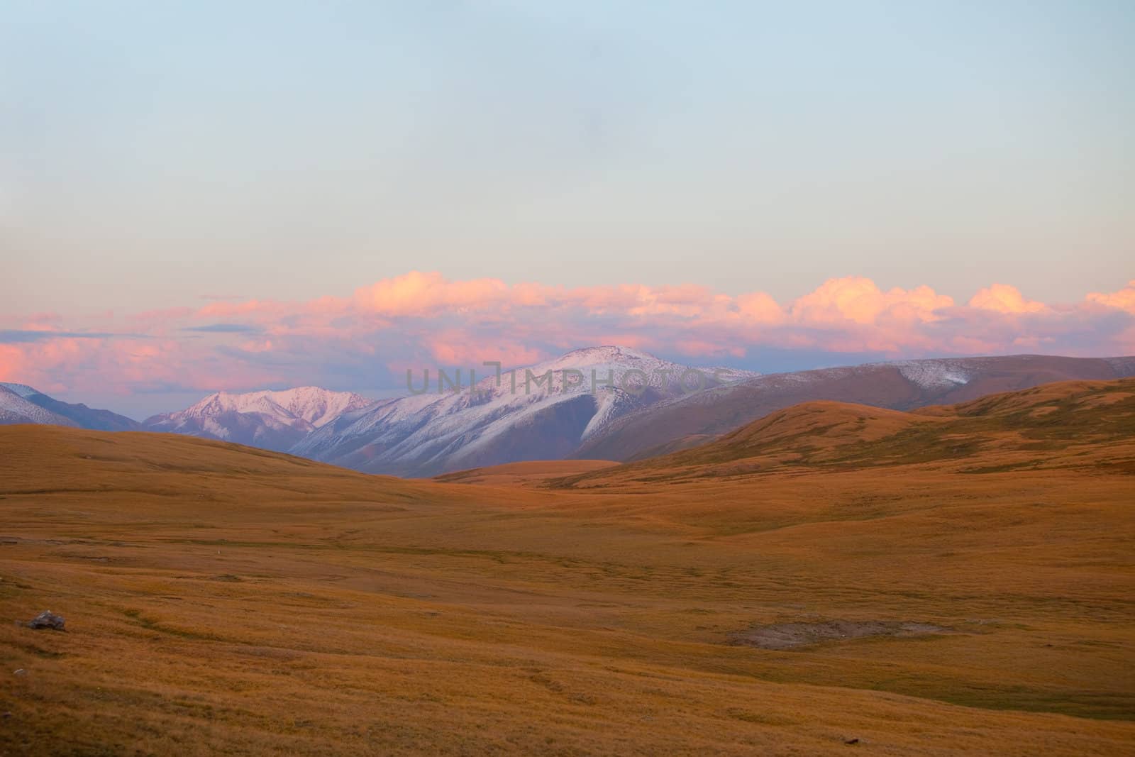 Altai mountains. Beautiful highland landscape. Russia. Siberia