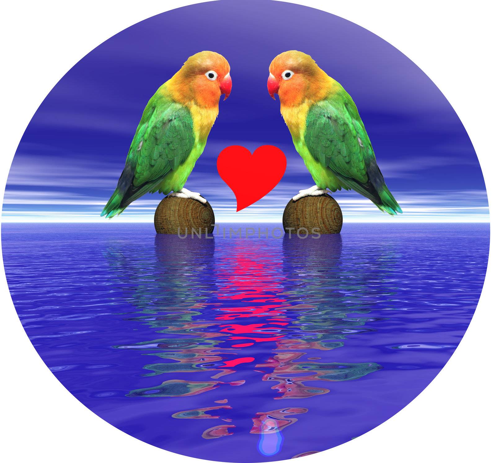 Two loving agapornis-fischeri birds looking in the eyes over the ocean and with a heart between them