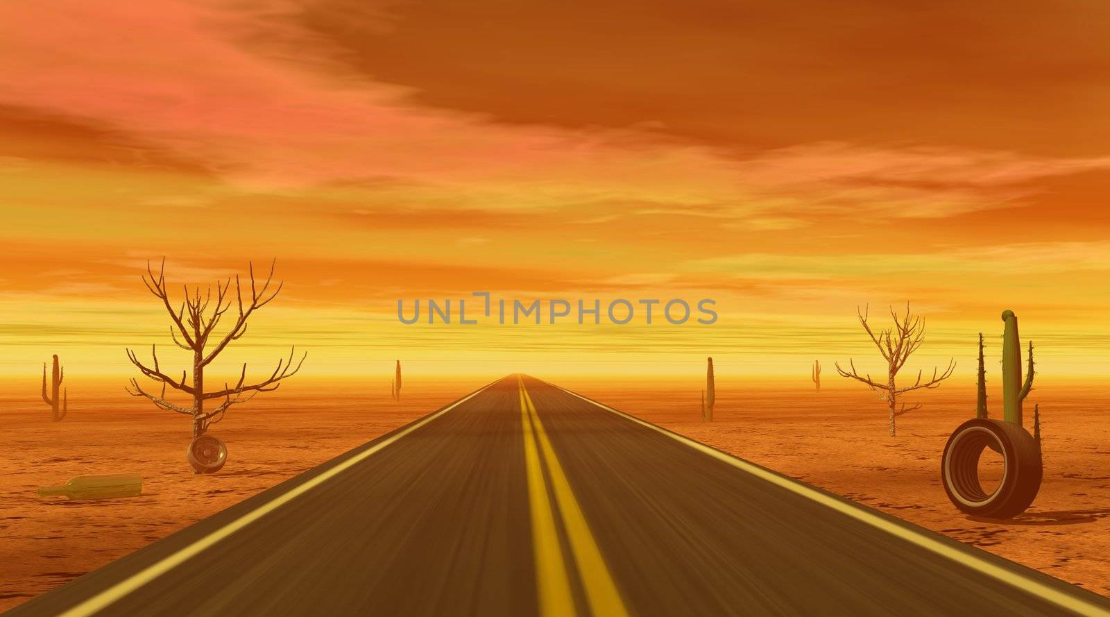 Big road in a desert with dead trees, cactus and tires by a cloudy sunset