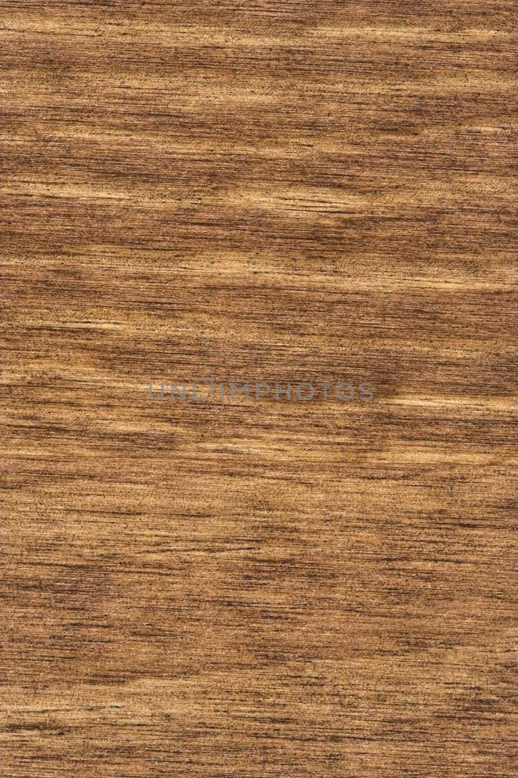 A detailed photo of wood grain. The grain and texture of the wood is very prominent.