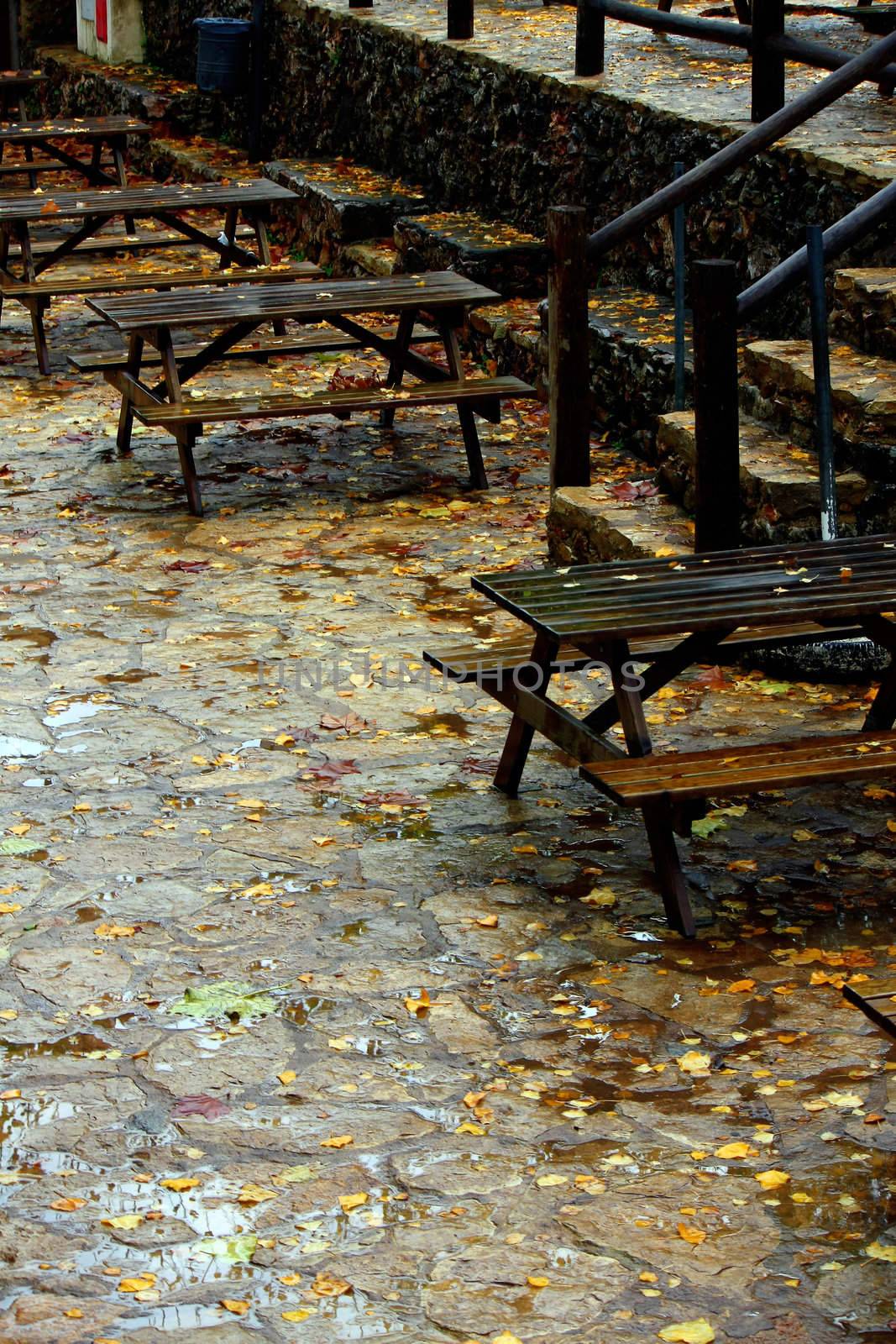 View of some tables on a park, with many fallen leafs.