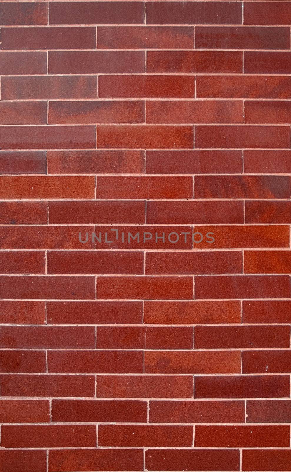 Detail of Portuguese glazed tiles.