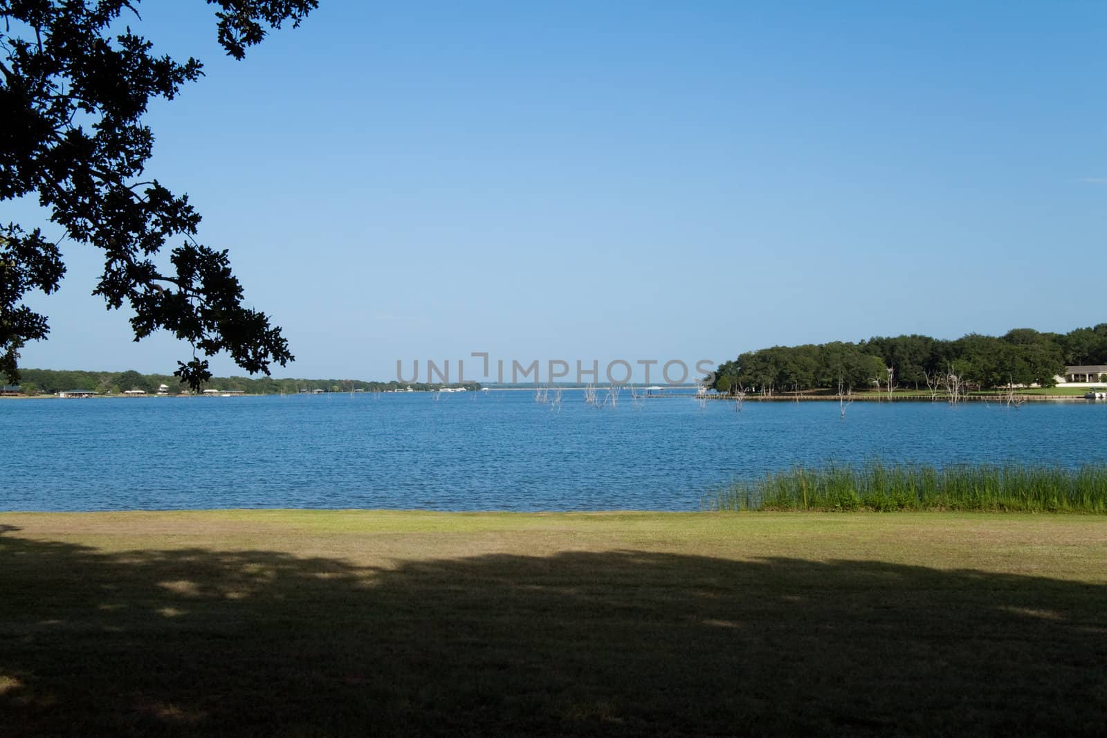 A fishing lake view with several little sticks in the water