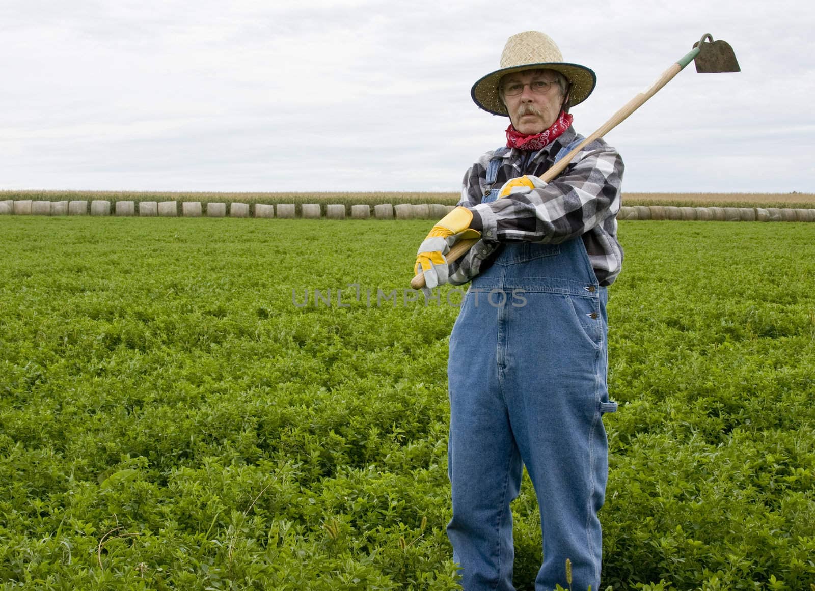 farmer wearing bib overalls  and a straw hat with a hoe on his shoulder on a hay field