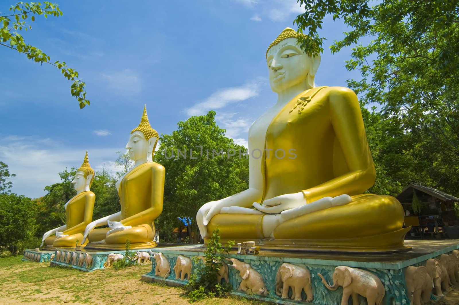 this picture is three image of buddha