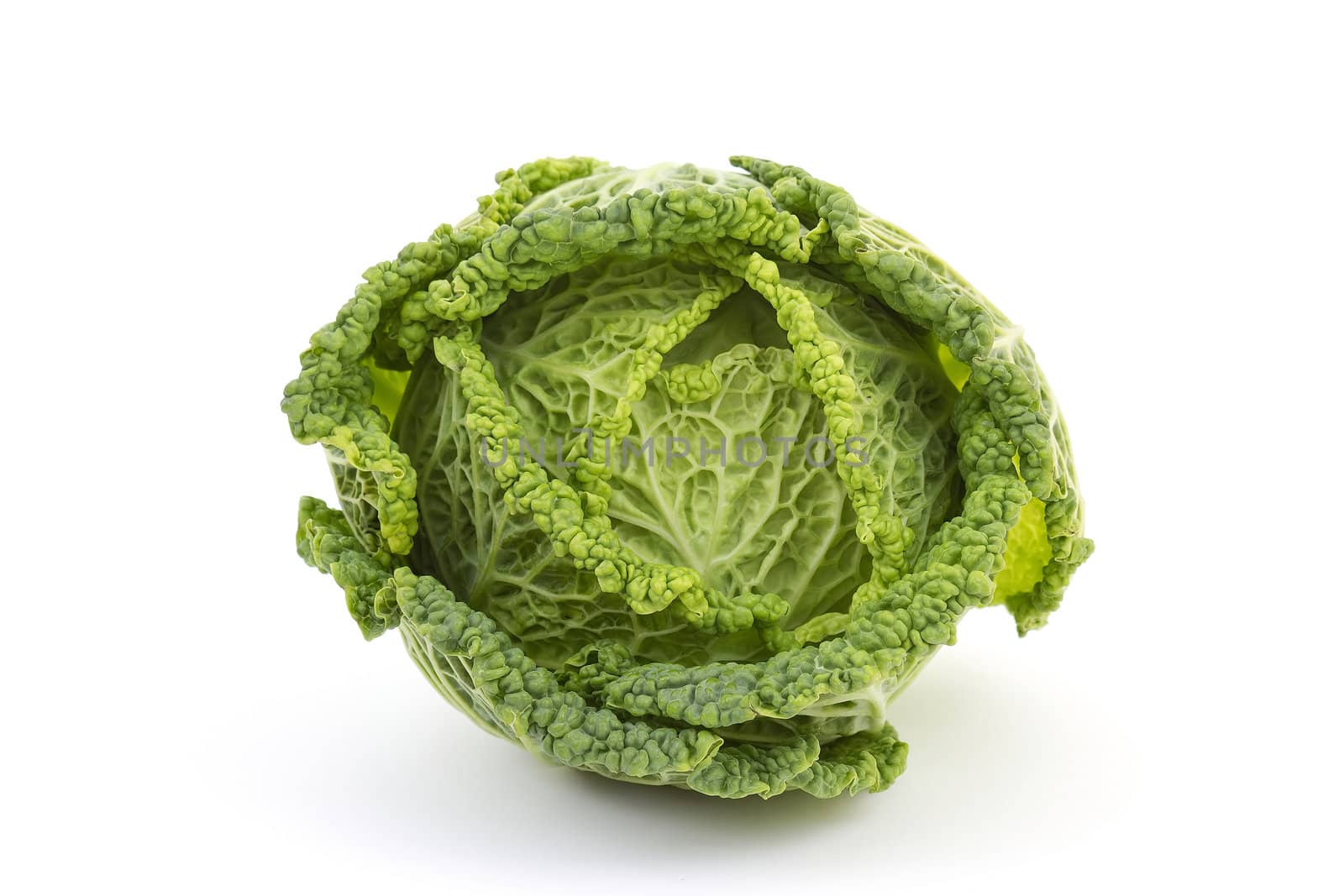 Savoy cabbage isolated on white 