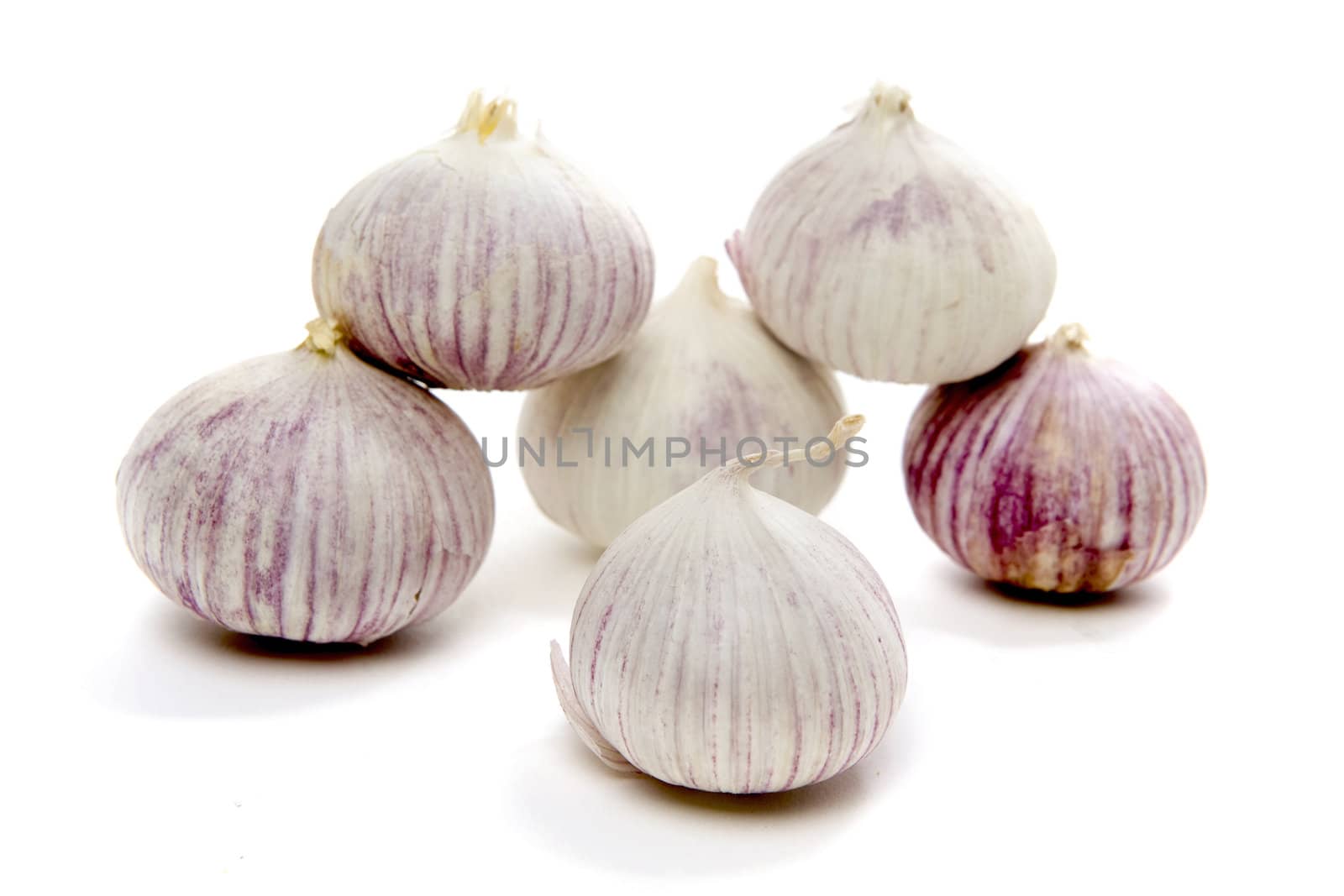 a lot of garlic on a white background