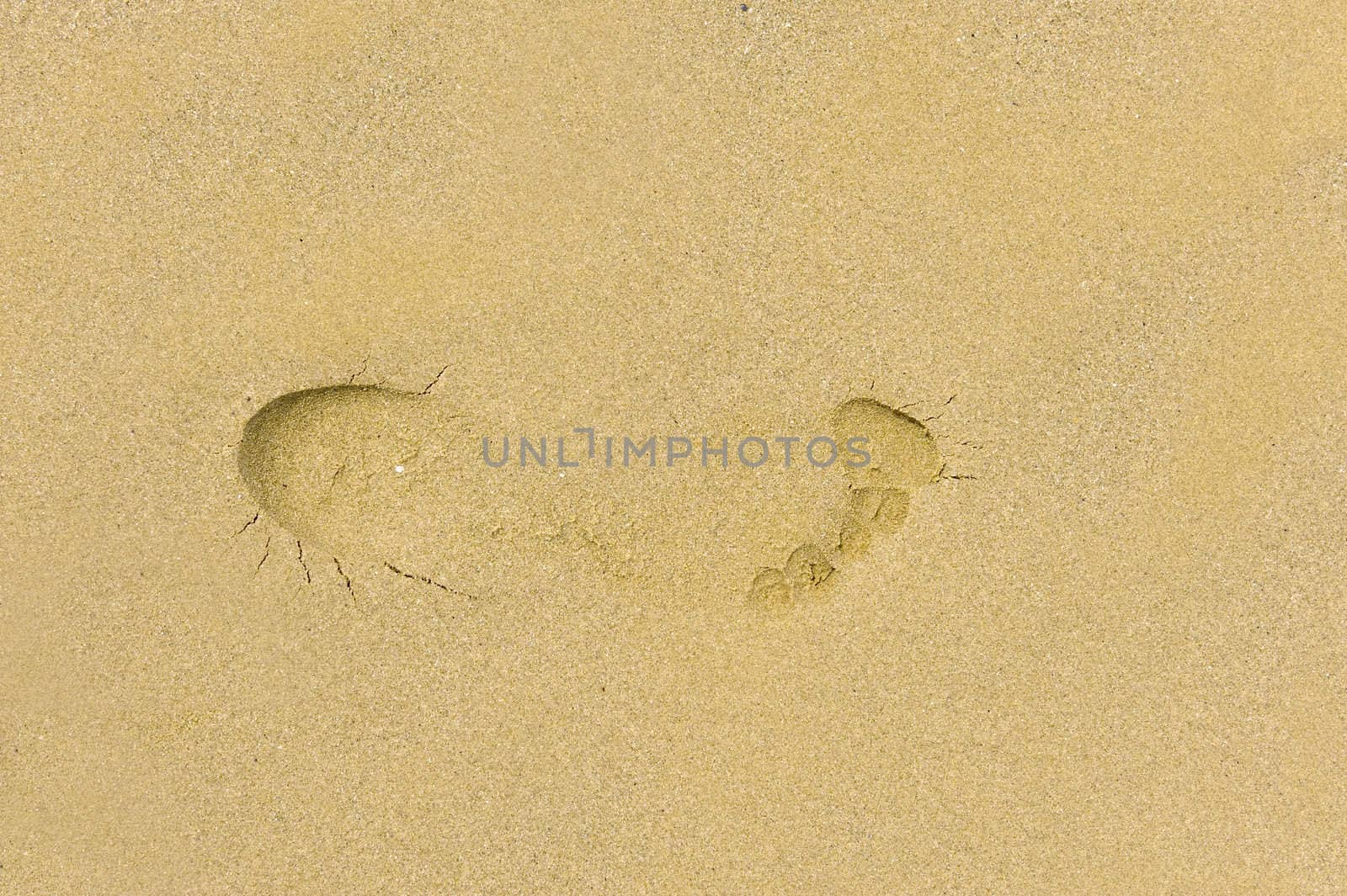 a footstep on the beach