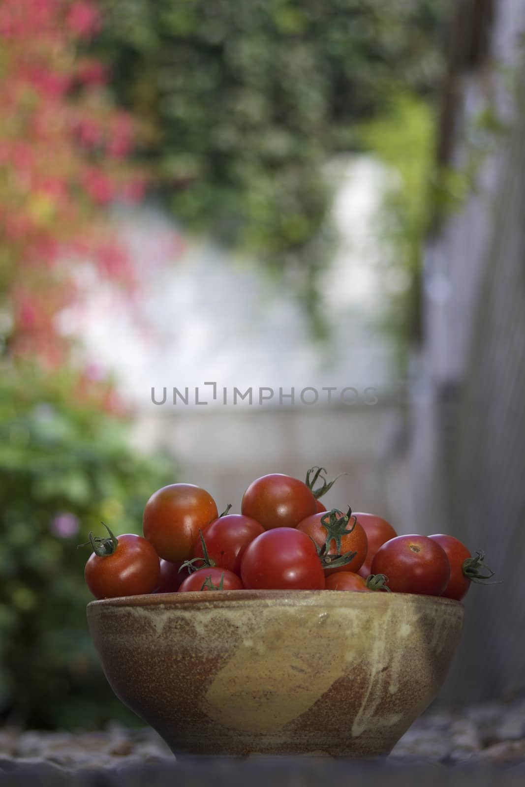 A bowl of small red tomatoes in a brown ceramic bowl set against a soft focus garden background. Shot on a portrait format with room for copy etc above.