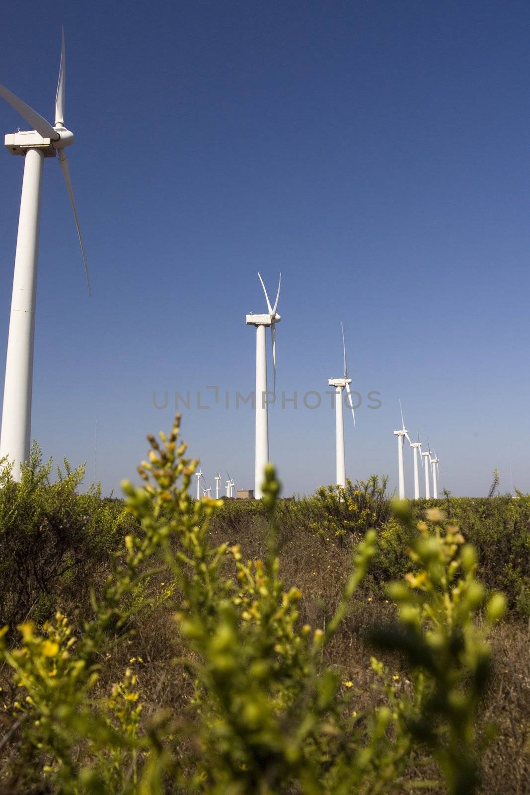 giant windmills by membio