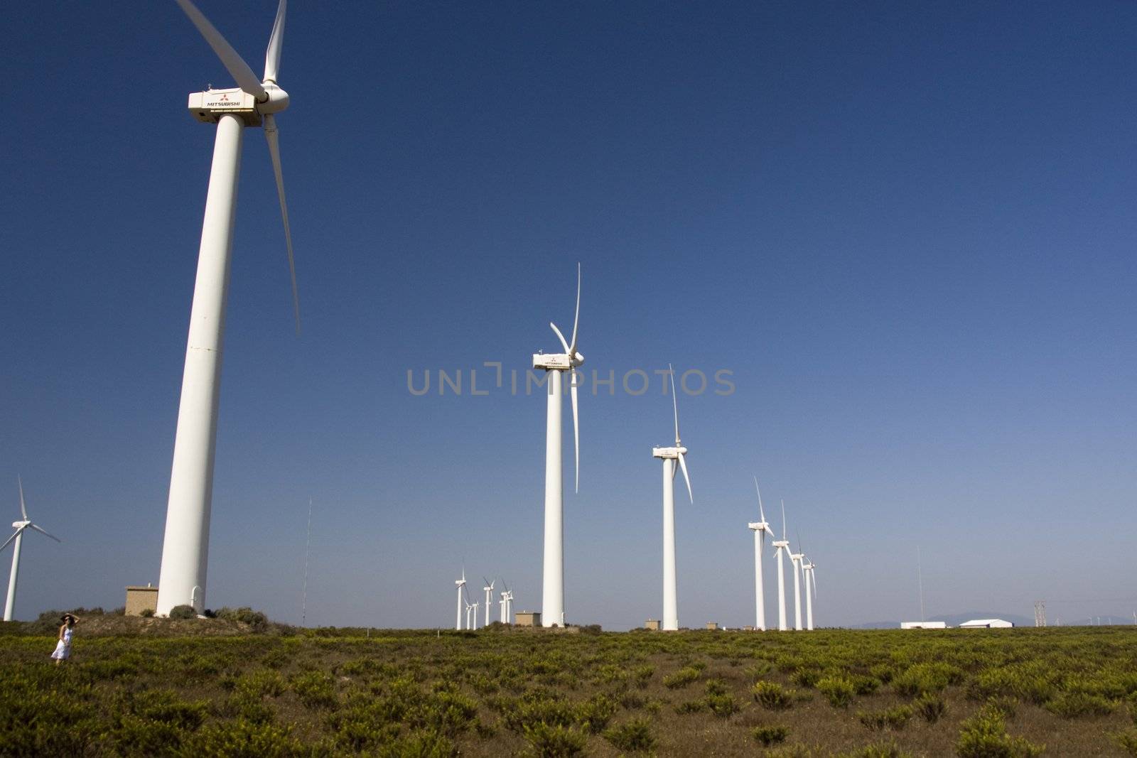 girl and the windmills by membio