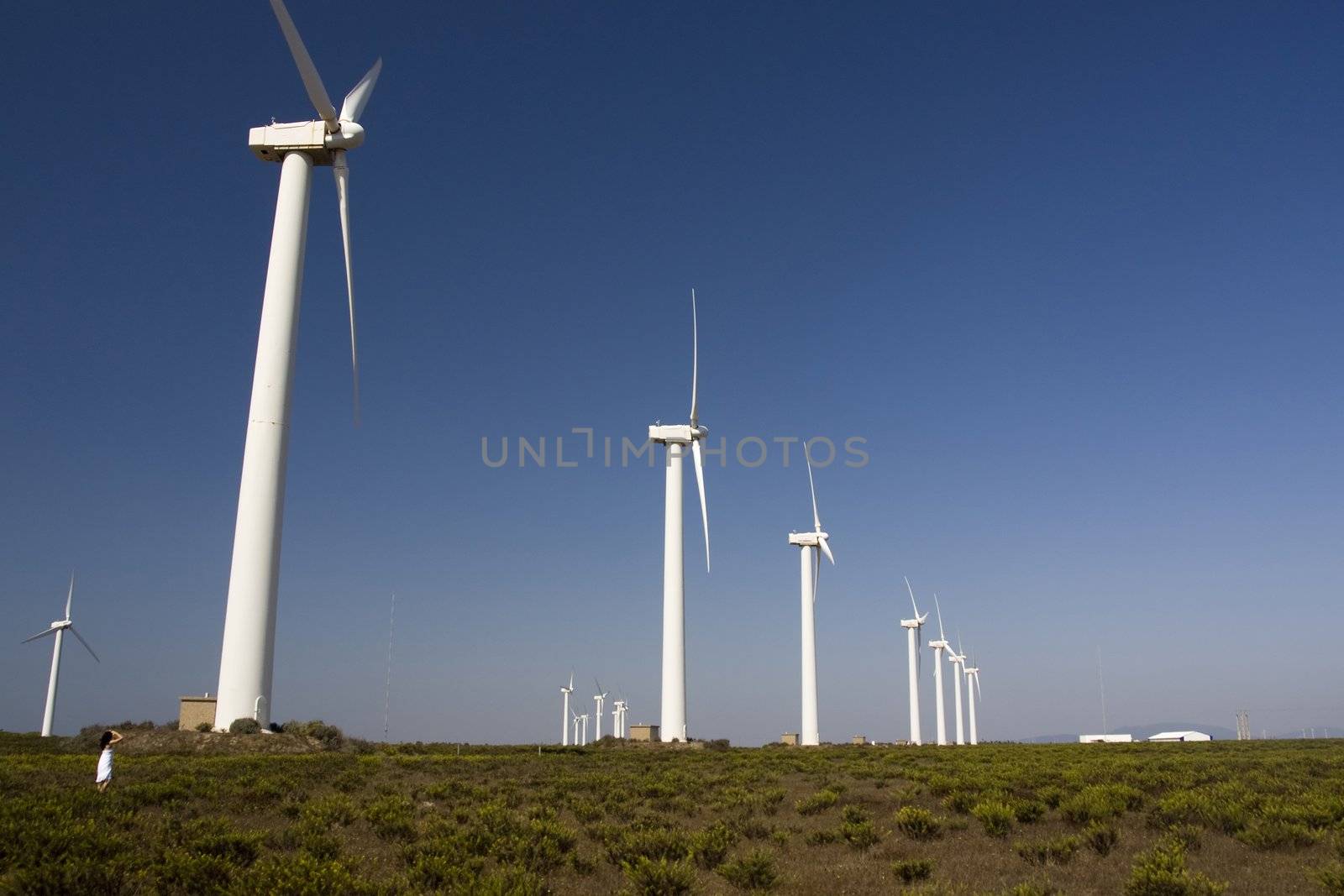 View of a young girl watching a field of windmills.