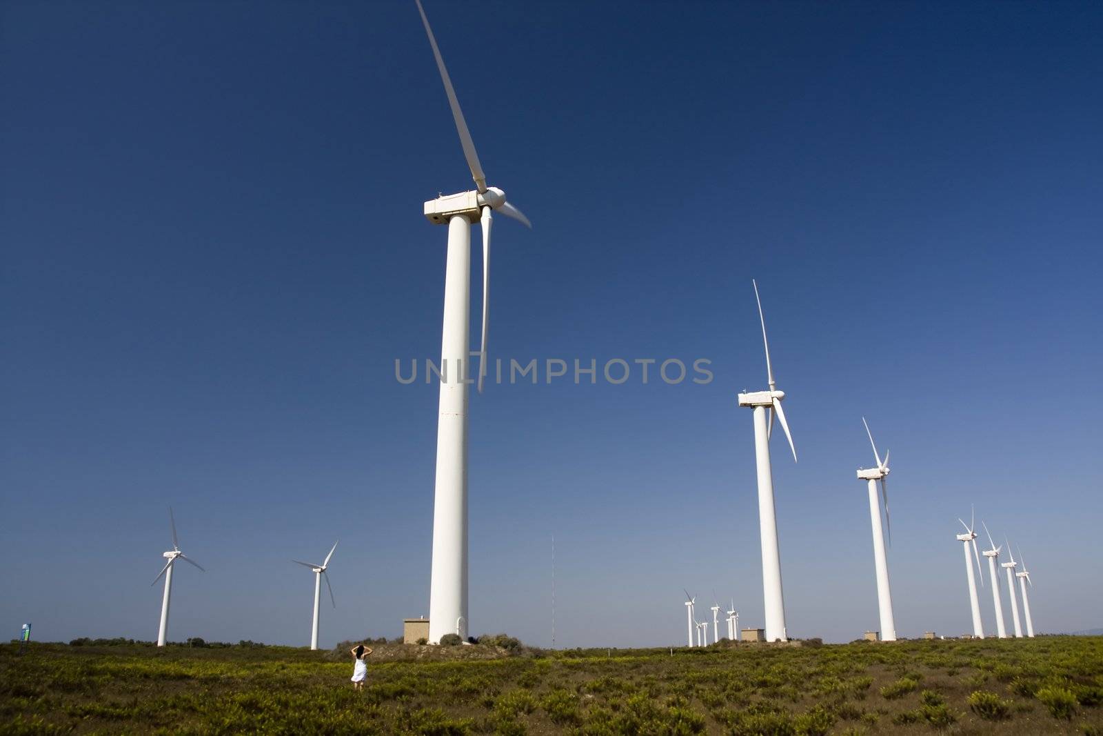 View of a young girl watching a field of windmills.