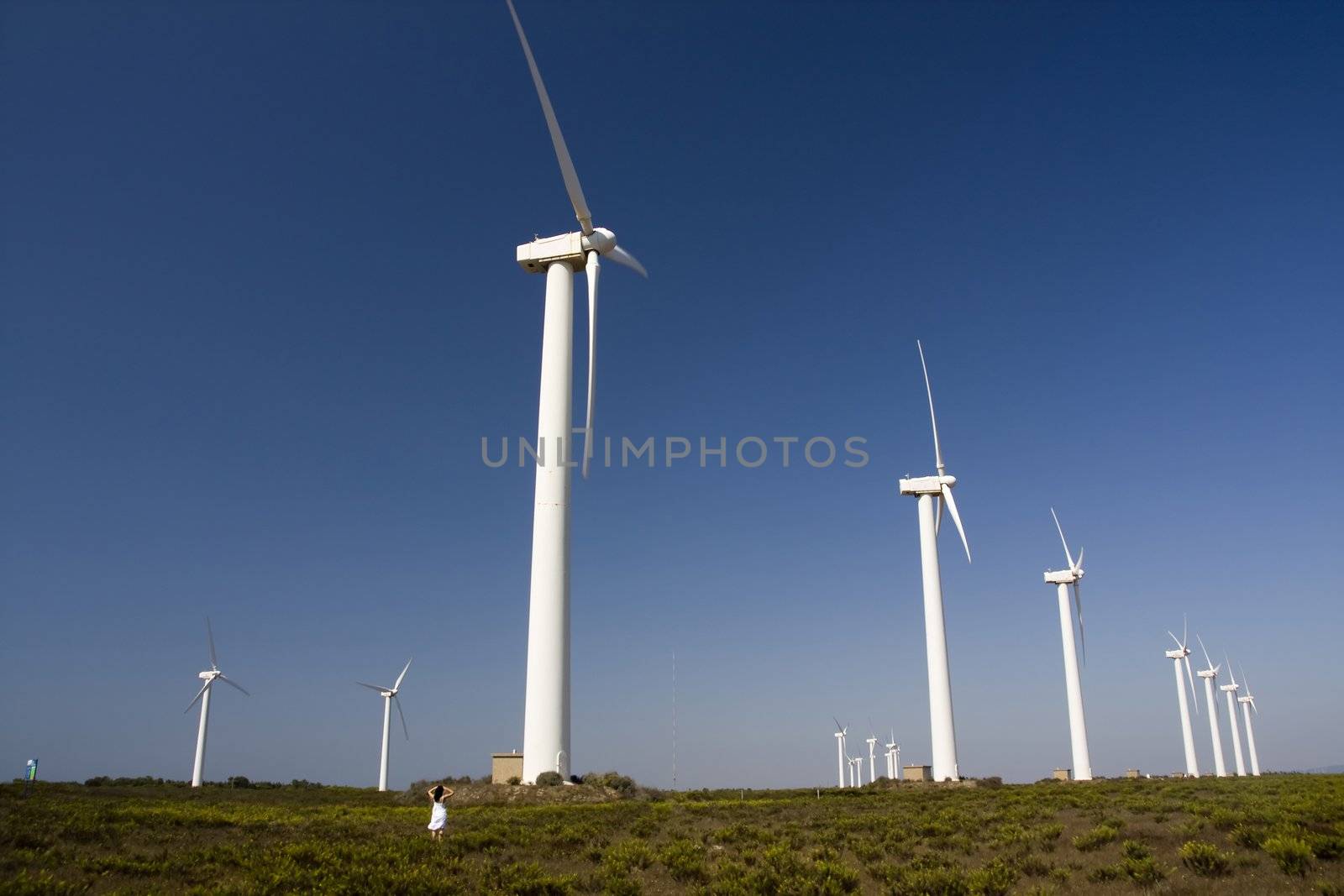 girl and the windmills by membio