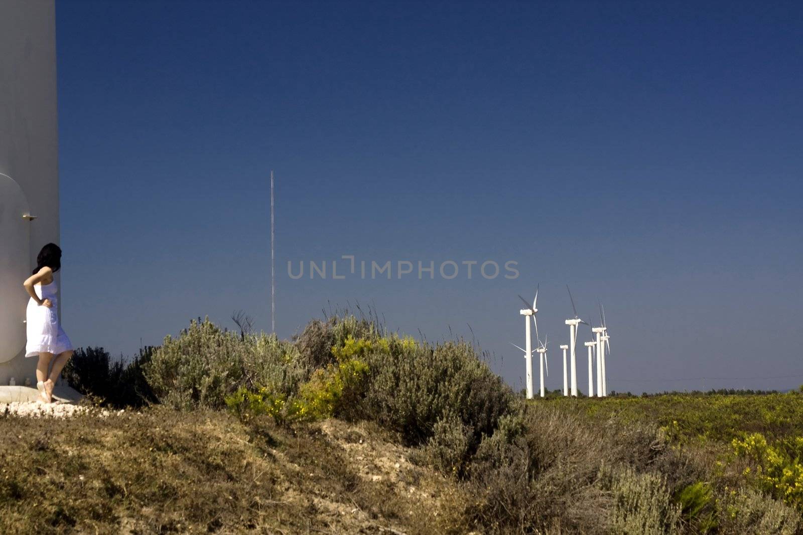 girl and the windmill by membio