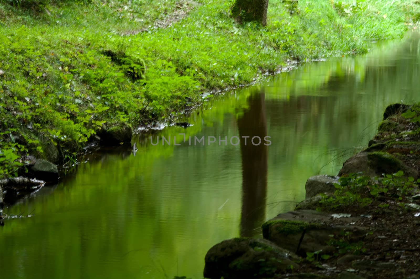 A creek in autumn, close to Lund, Sweden by baggiovara