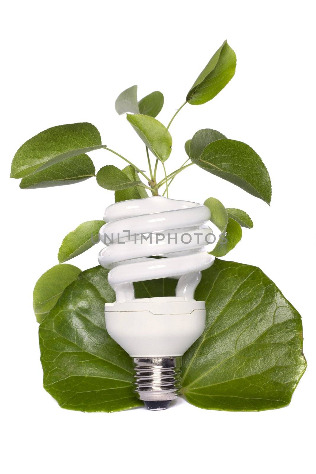 View of a energy efficiency light bulb isolated on a background with vegetation. 