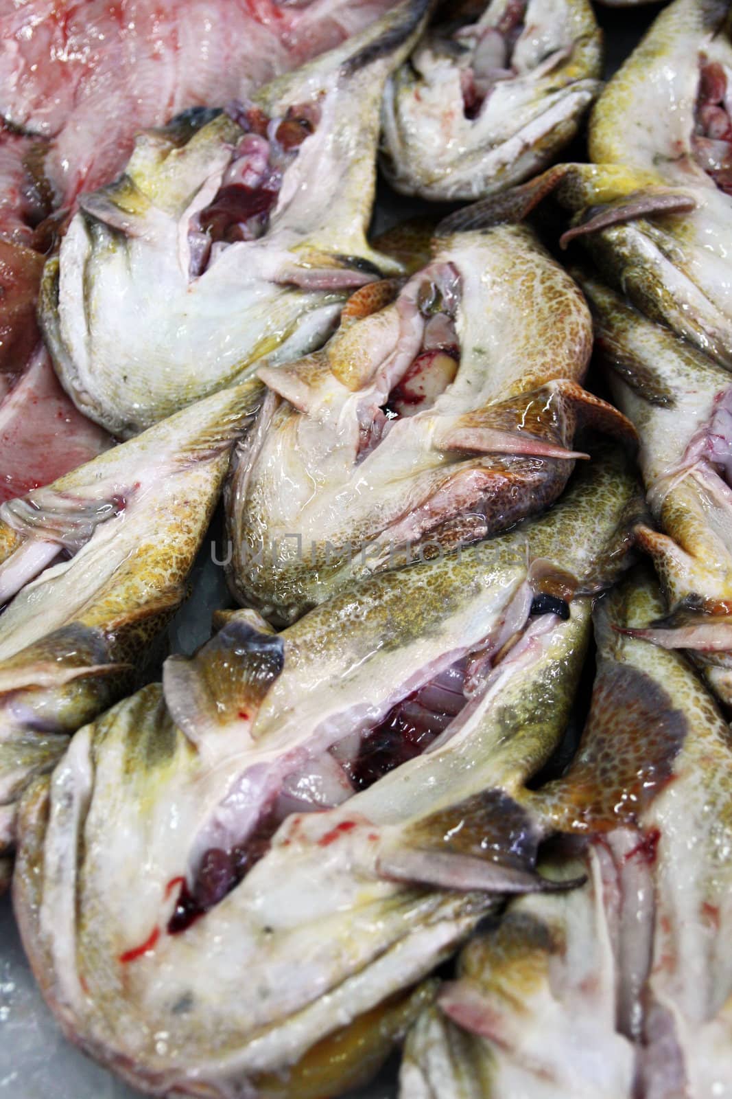 View of several monkfish prepared at the fish market.