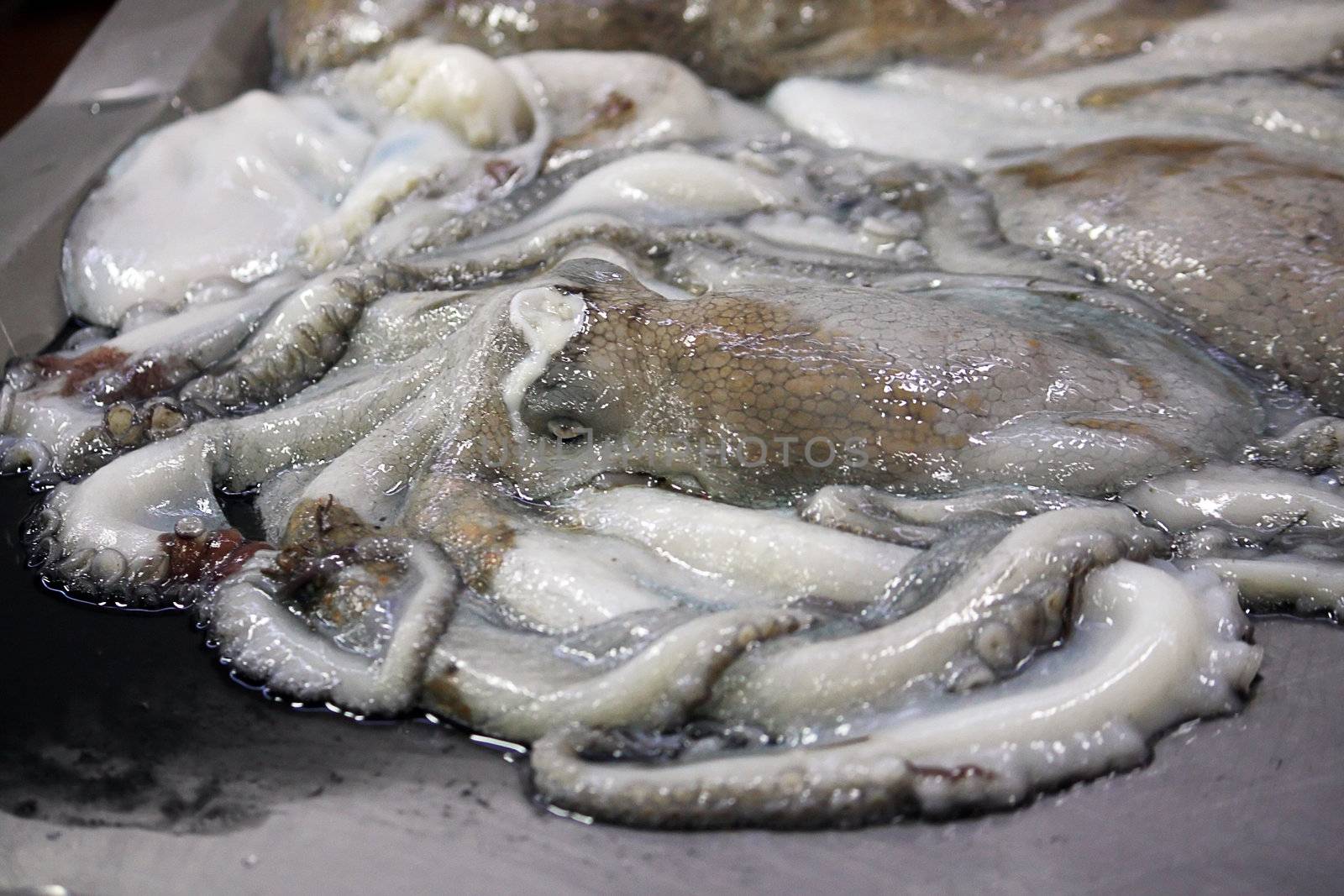 View of a dead octopus at sale on the fish market.