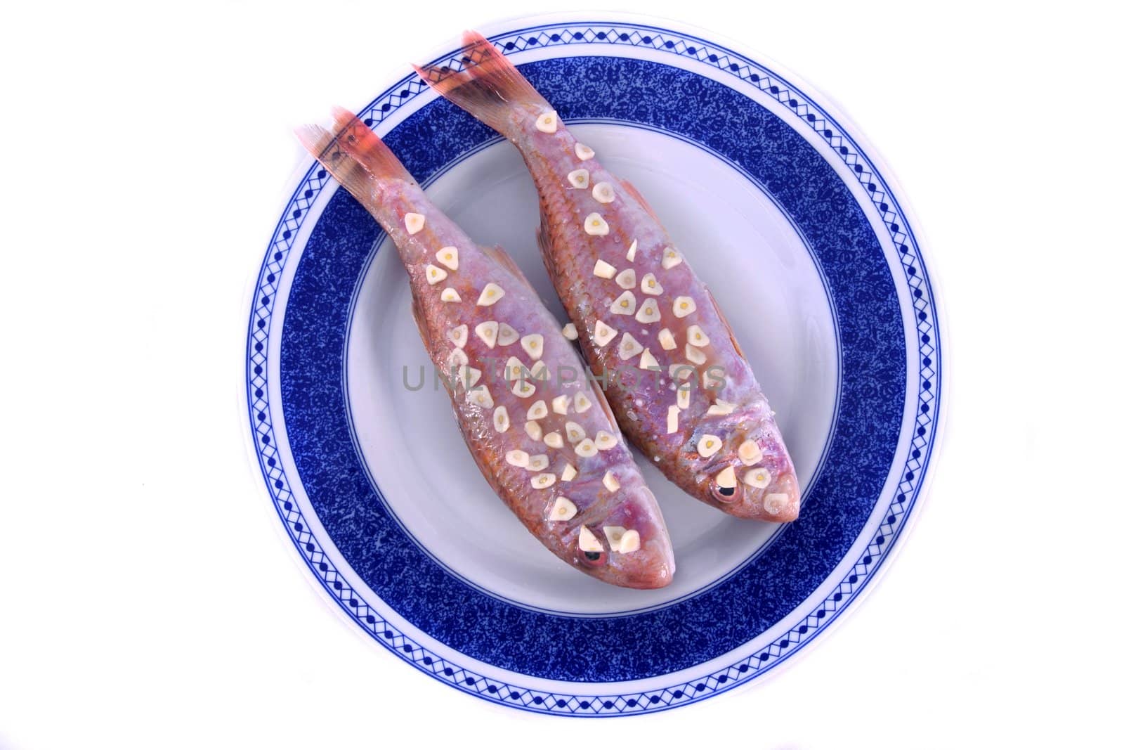 Detail view of two red fish on a plate with garlic on top ready to be made.