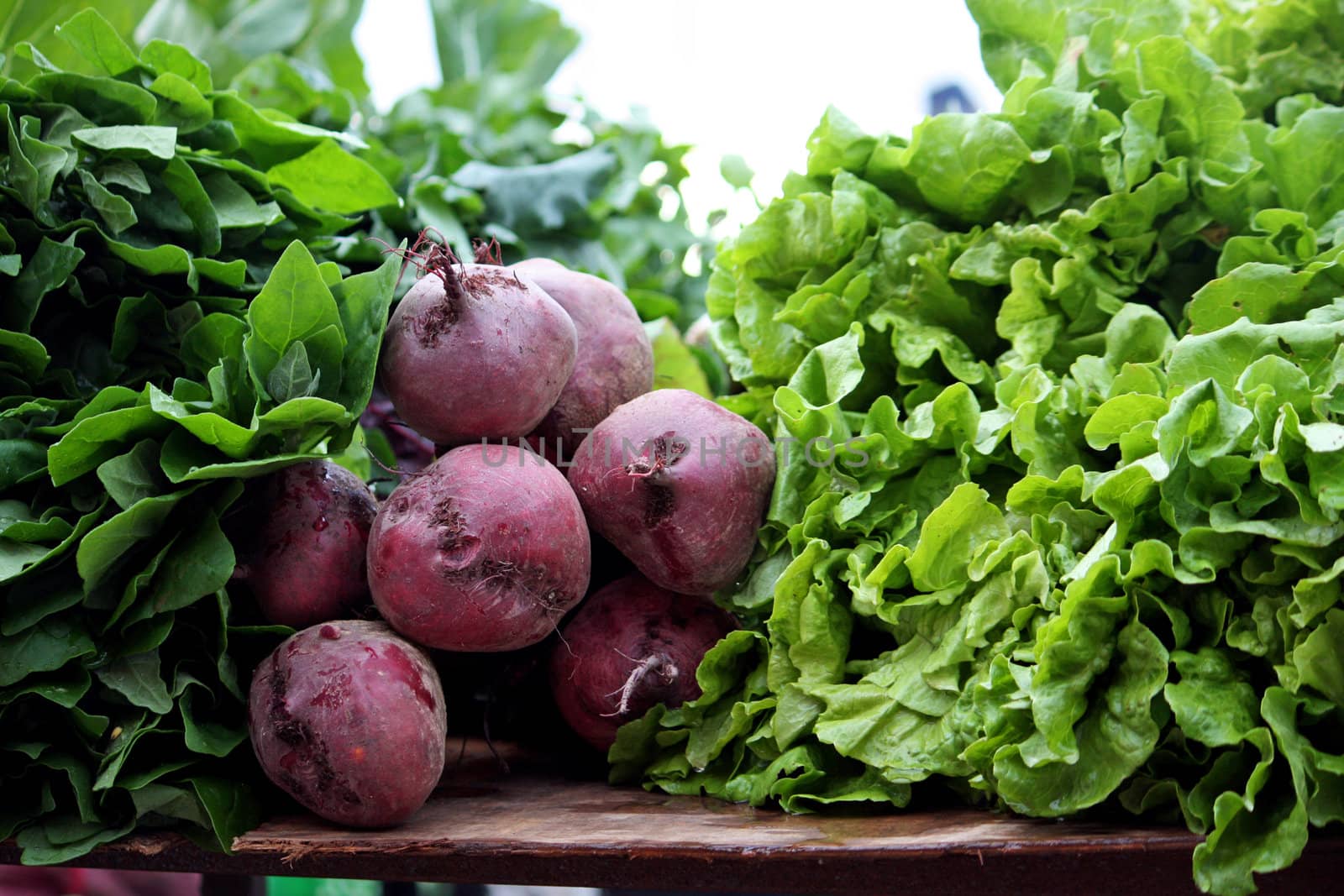 View of a bunch of fresh beet root and lettuce vegetables on the market.
