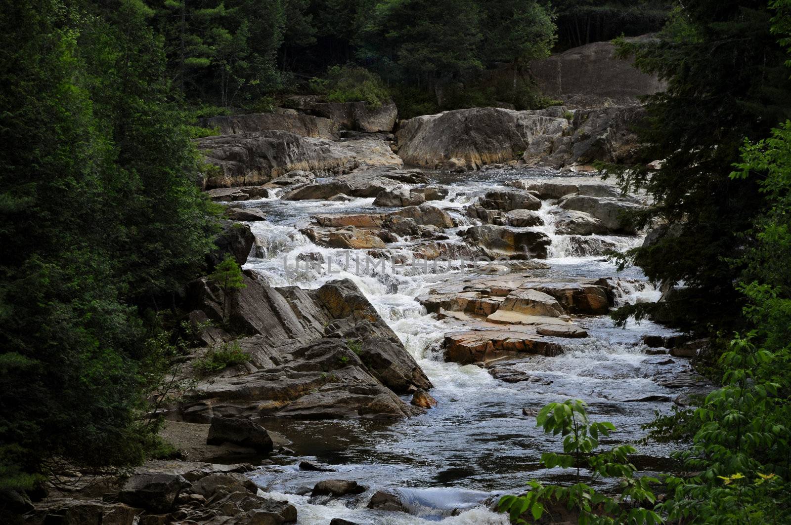 White water in an Adirondack stream Horizontal