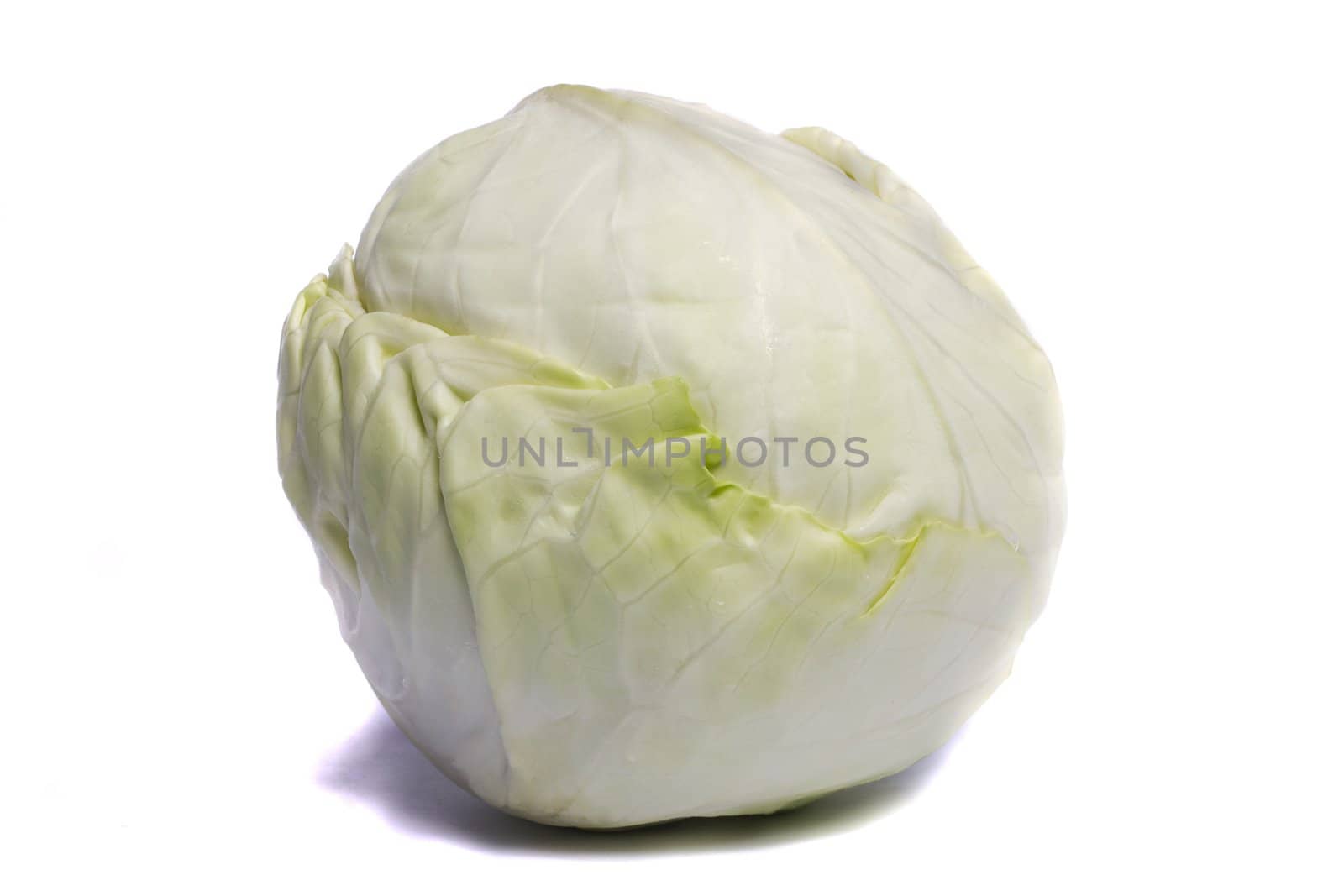 Close view of a white cabbage isolated on a white background.