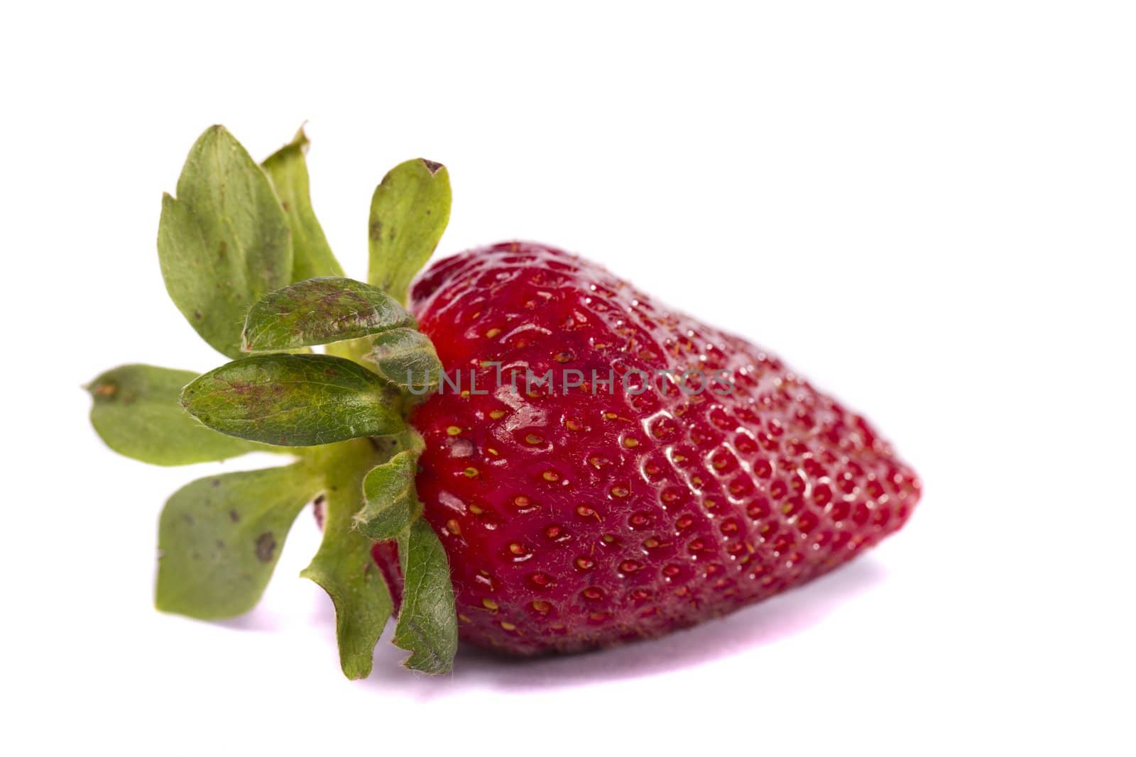 Close view of a strawberry fruit isolated on a white background.