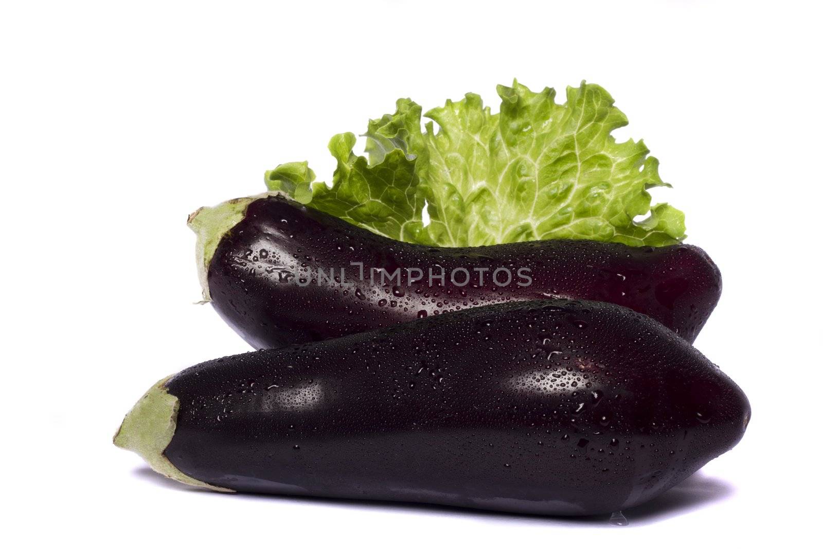 Close up view of an eggplant vegetable isolated on a white background.