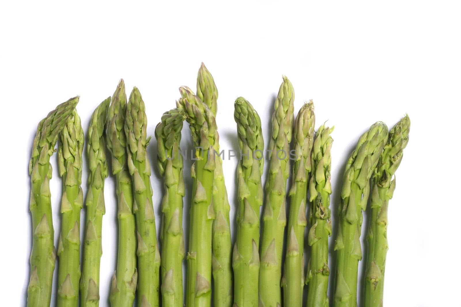 green asparagus by membio