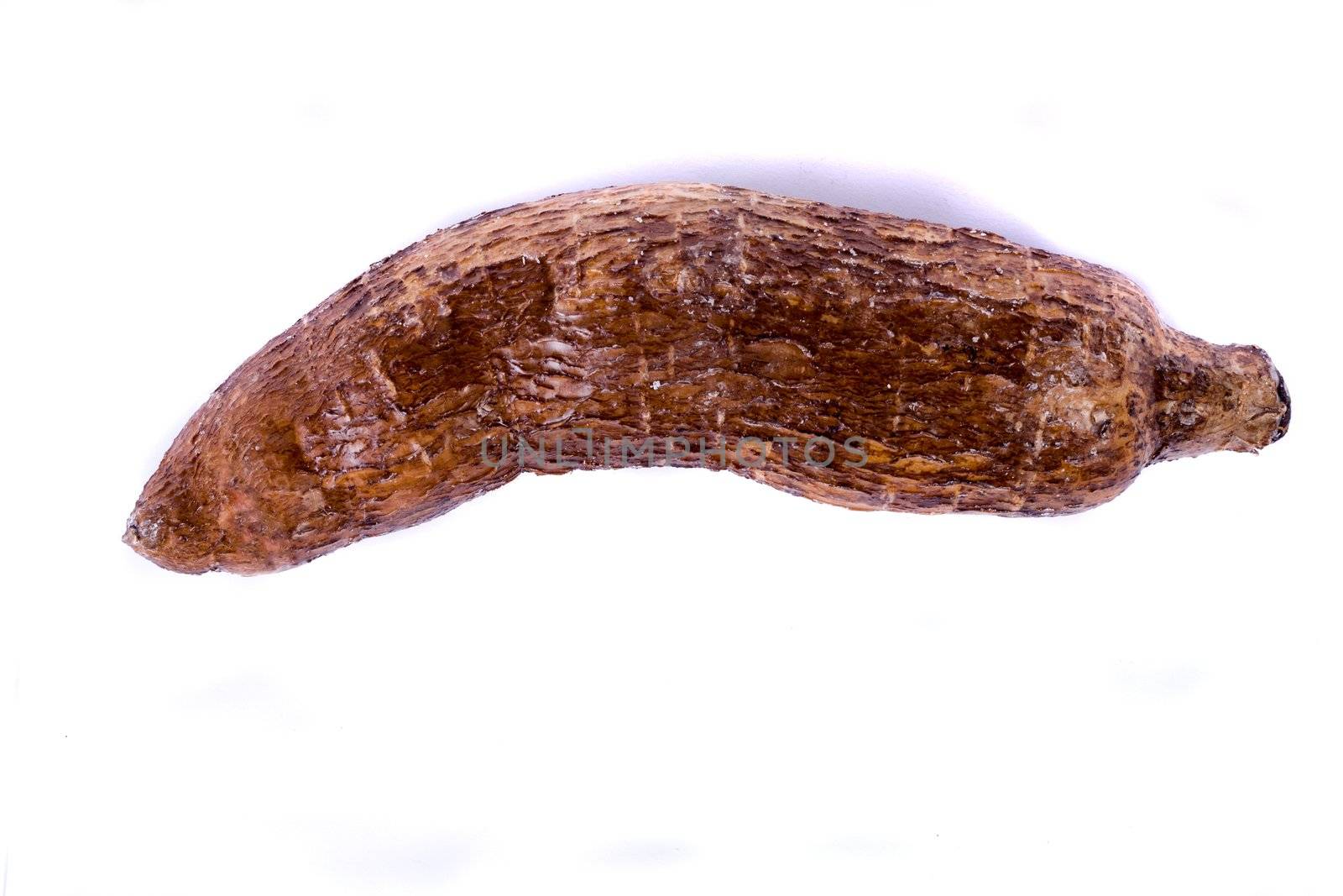 Close up view of the cassava root isolated on a white background.