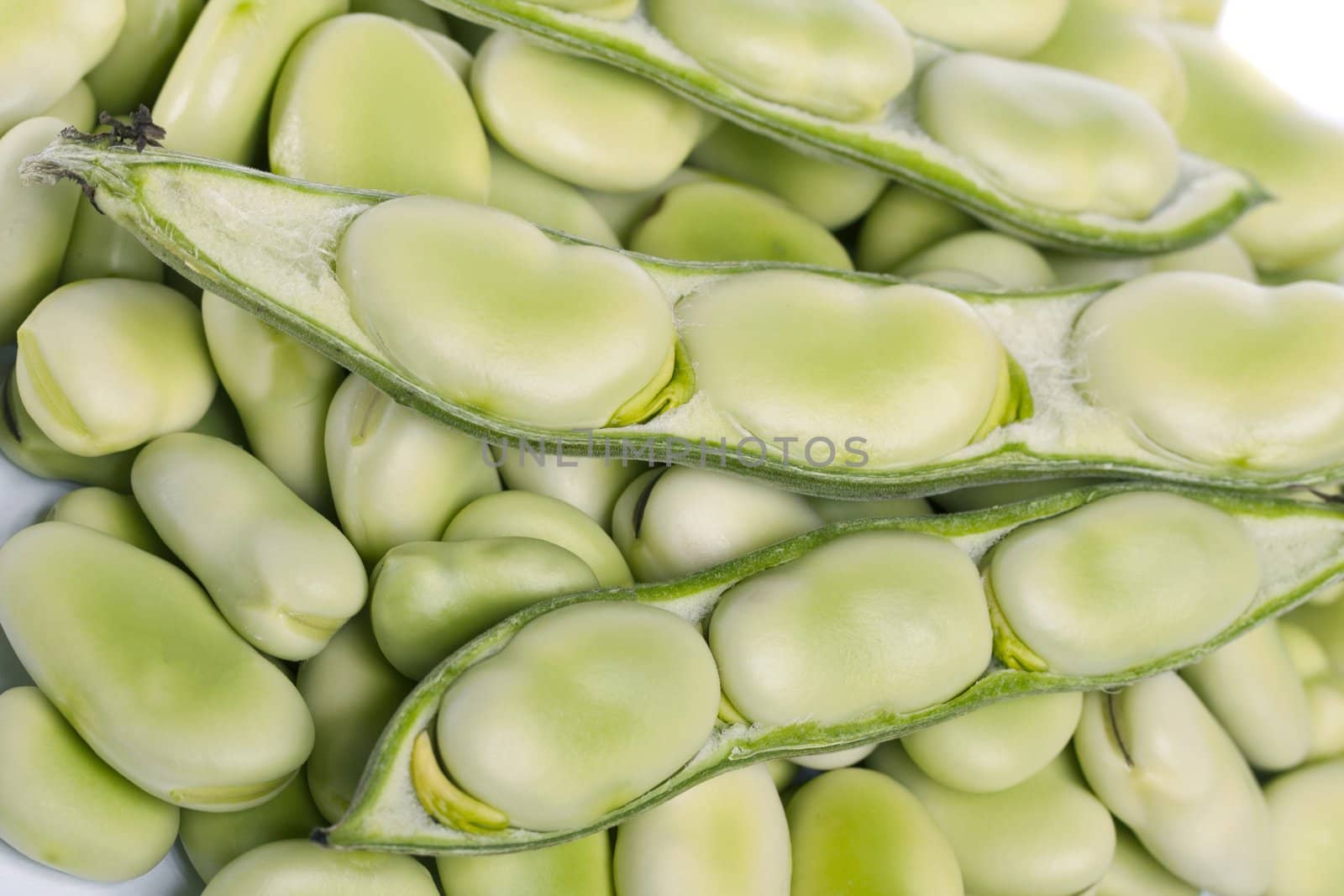 Close up view of some broad beans isolated on a white background.