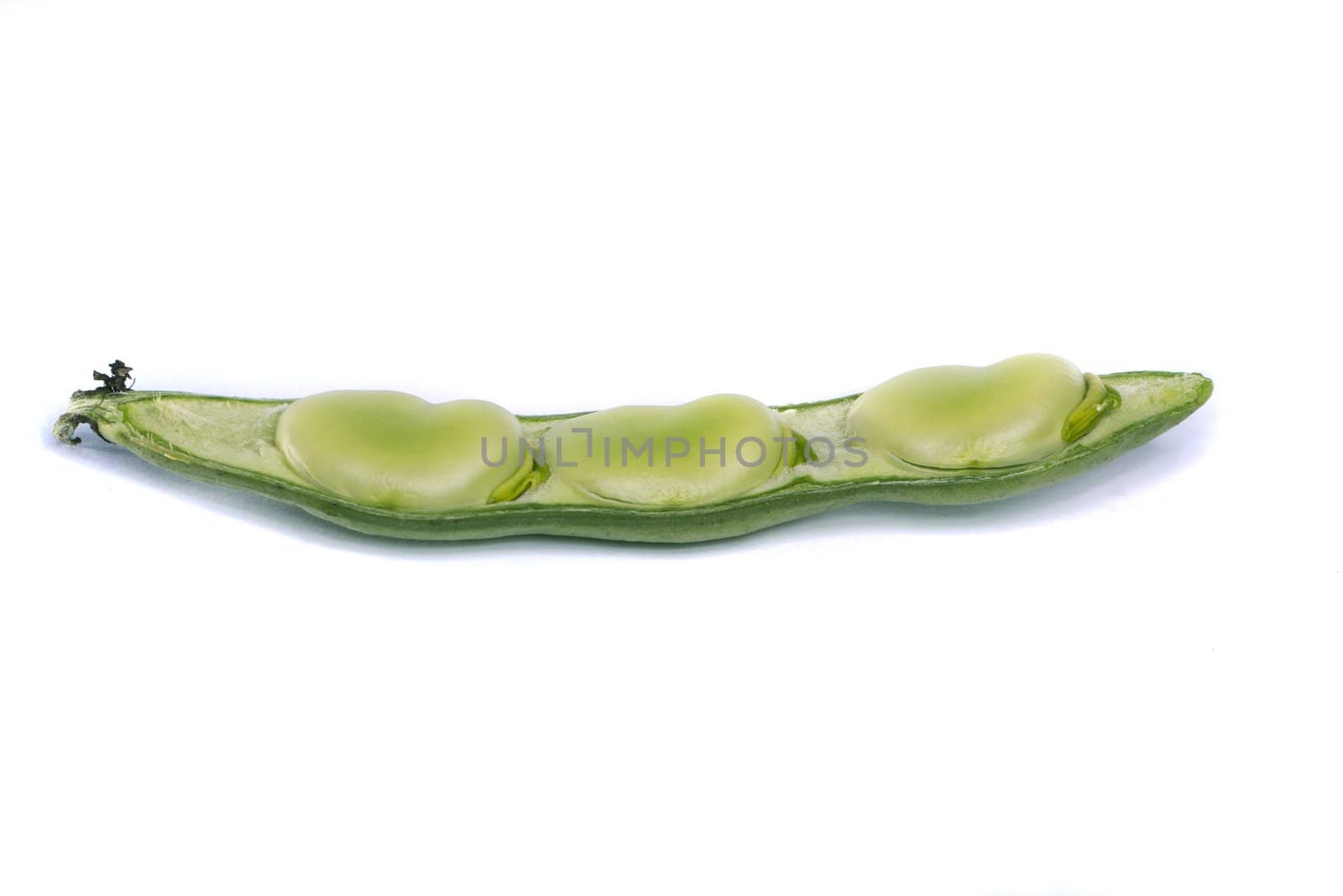 Close up view of some broad beans isolated on a white background.