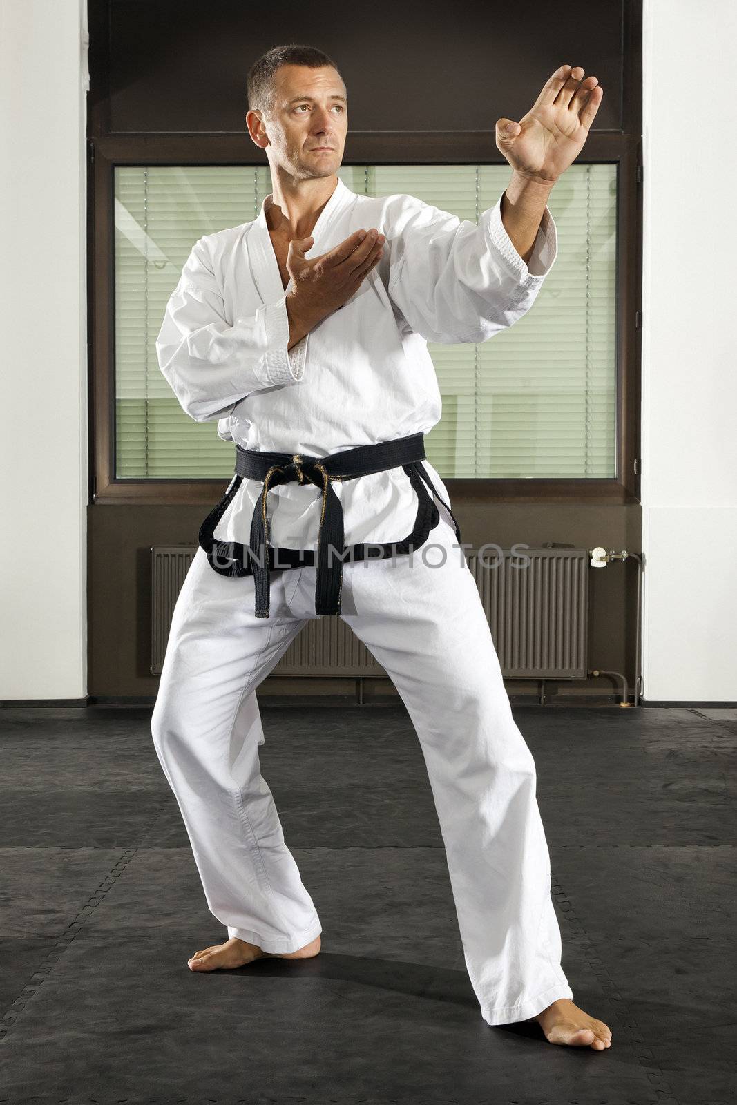 An image of a martial arts master