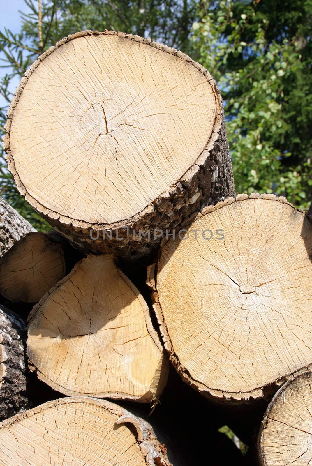 A close up of stacked birch logs, vertical view. Suitable also for a background. Photographed in Salo, Finland in August 2010.